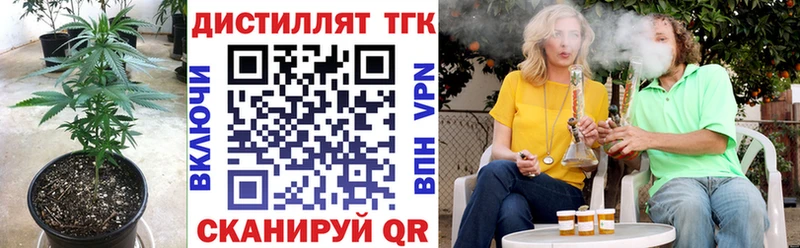 Дистиллят ТГК гашишное масло  Камышин 
