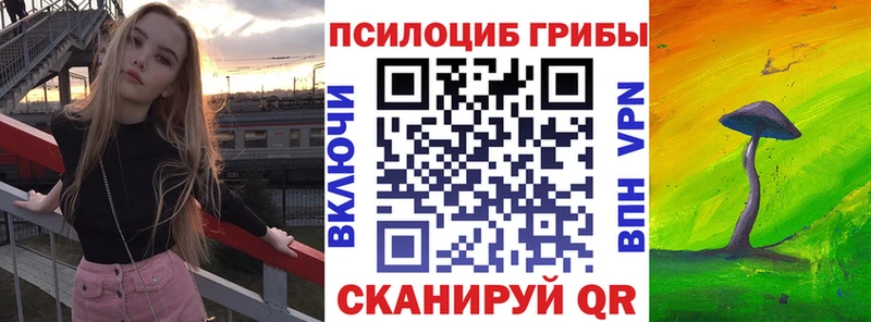 Псилоцибиновые грибы Magic Shrooms  МЕГА ссылки  Камышин 